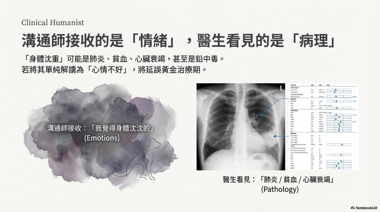 寵物溝通 vs 醫療診斷：內覺、語言與臨床資訊圖卡 8