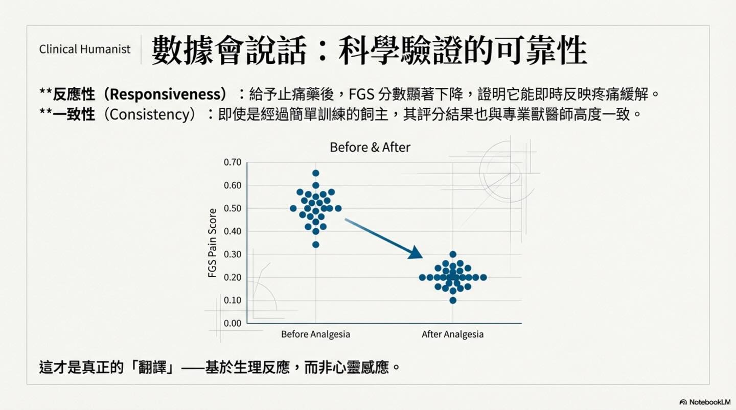 寵物溝通 vs 醫療診斷：內覺、語言與臨床資訊圖卡 13