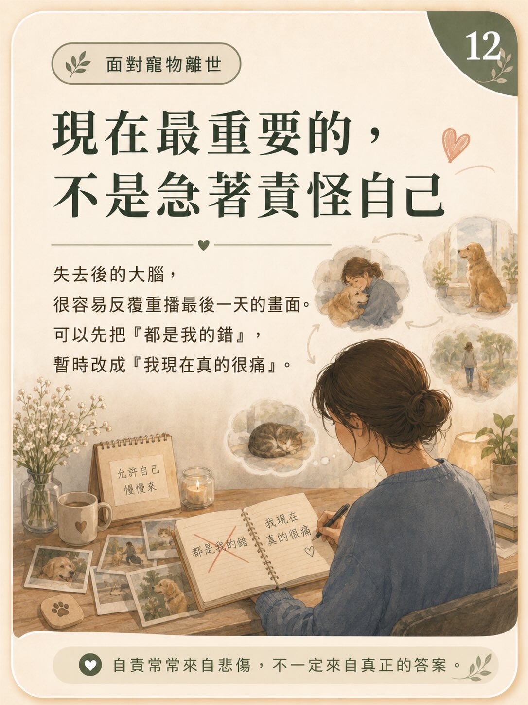 牠離開後，我還是很想牠圖卡 12