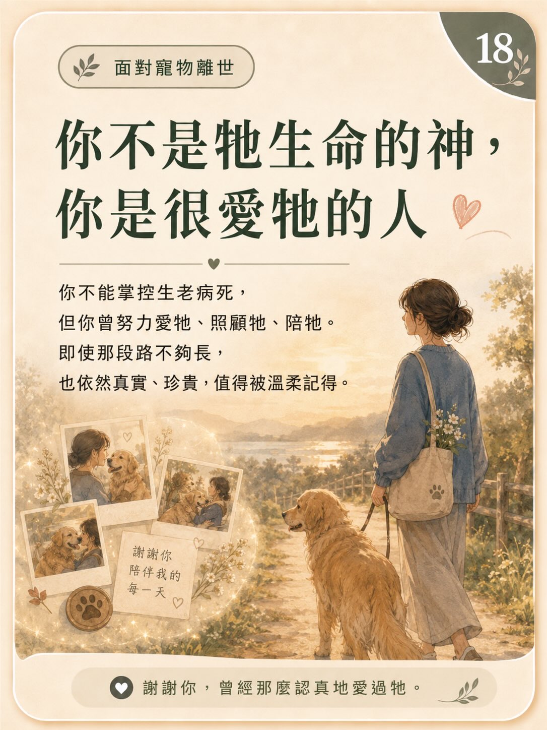 牠離開後，我還是很想牠圖卡 18