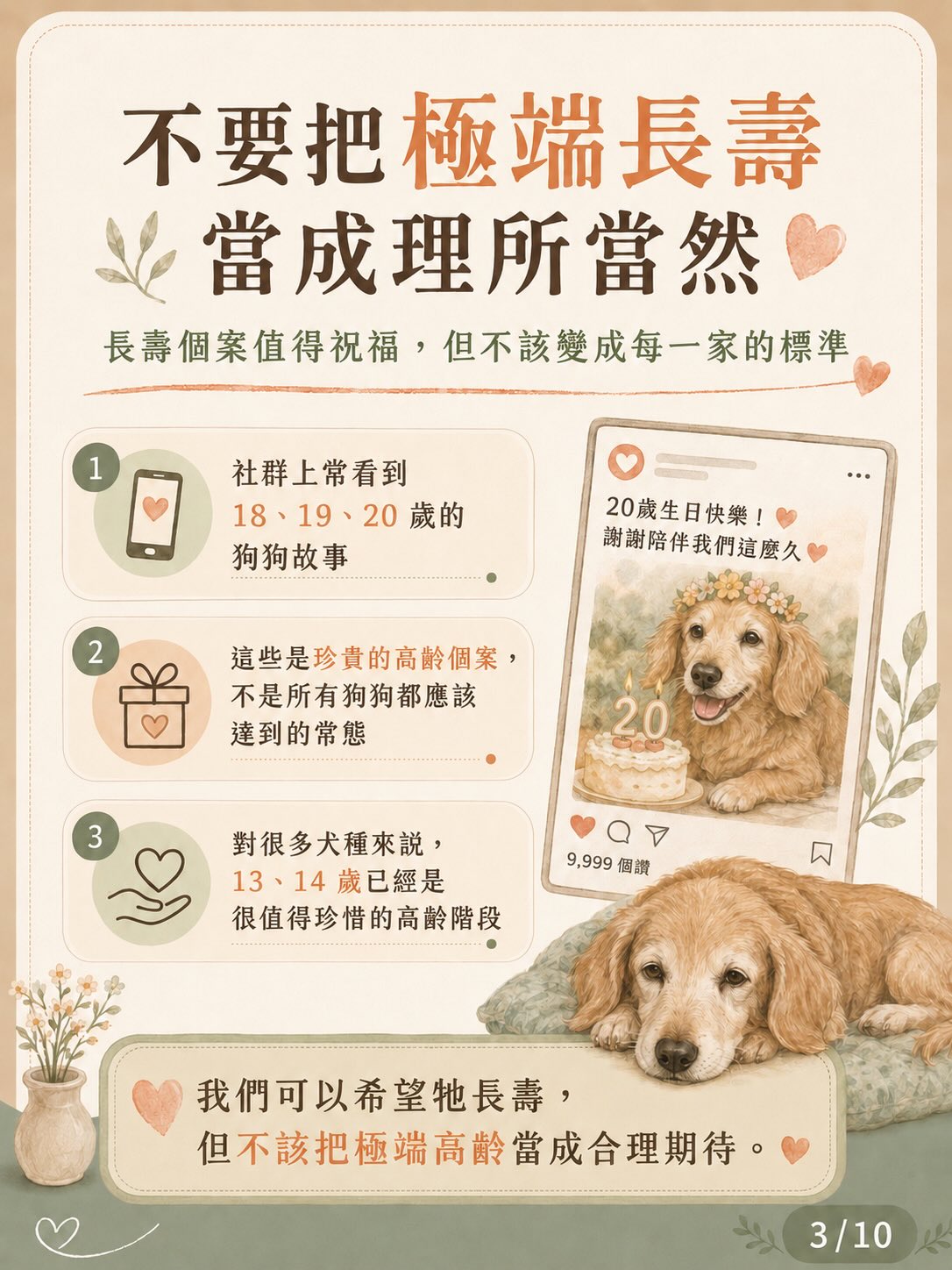面對毛孩的離別：用愛、理解與準備陪牠走完最後旅程圖卡 3