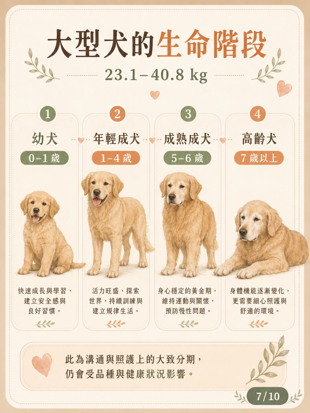 面對毛孩的離別：用愛、理解與準備陪牠走完最後旅程圖卡 7