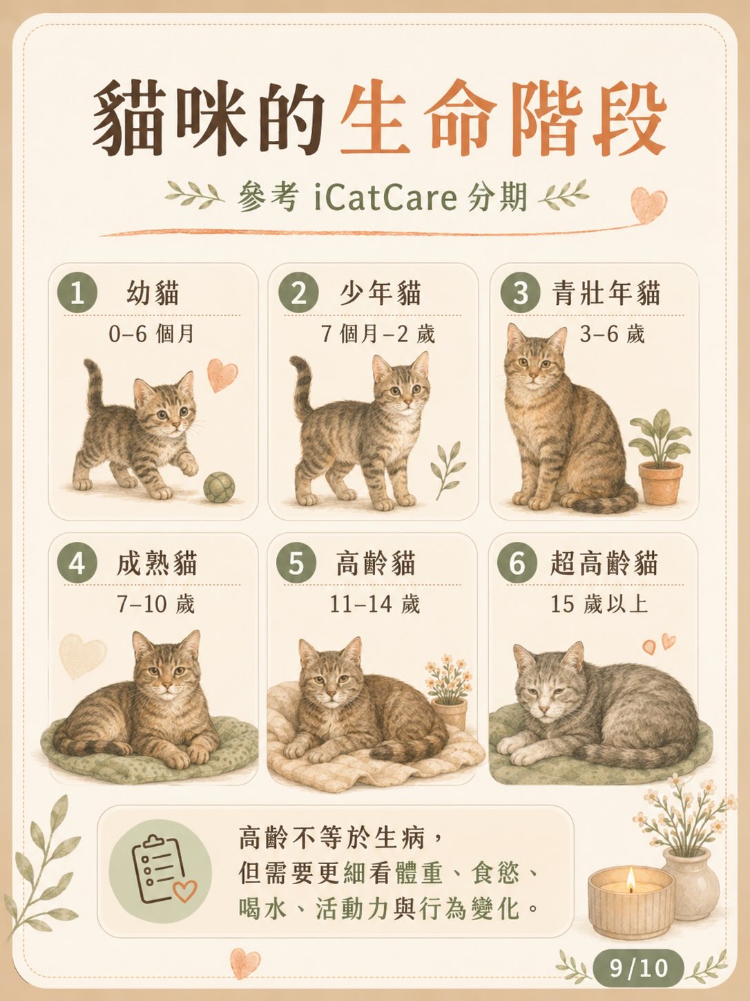 面對毛孩的離別：用愛、理解與準備陪牠走完最後旅程圖卡 9