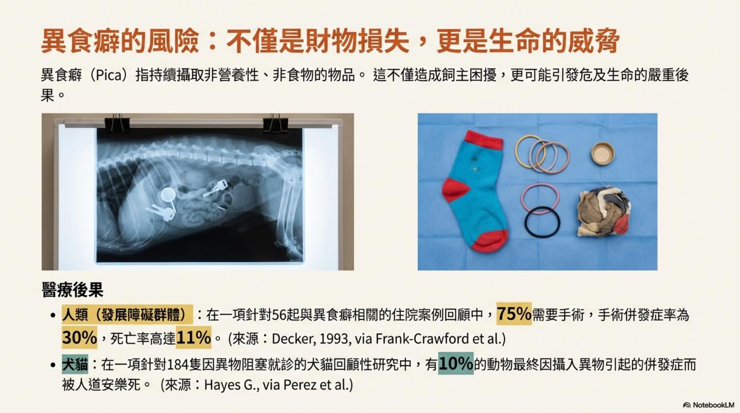 異食癖：不止是壞習慣圖卡 2