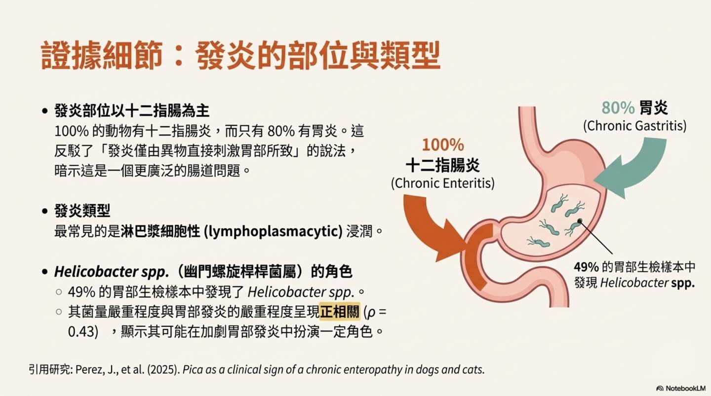 異食癖：不止是壞習慣圖卡 9