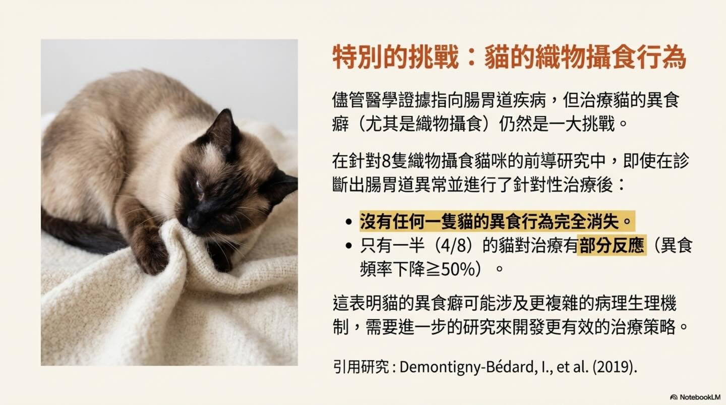 異食癖：不止是壞習慣圖卡 13