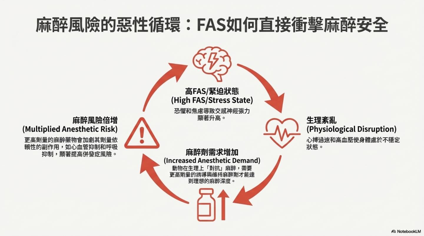 麻醉安全再升級：術前口服藥物為何是關鍵？圖卡 3