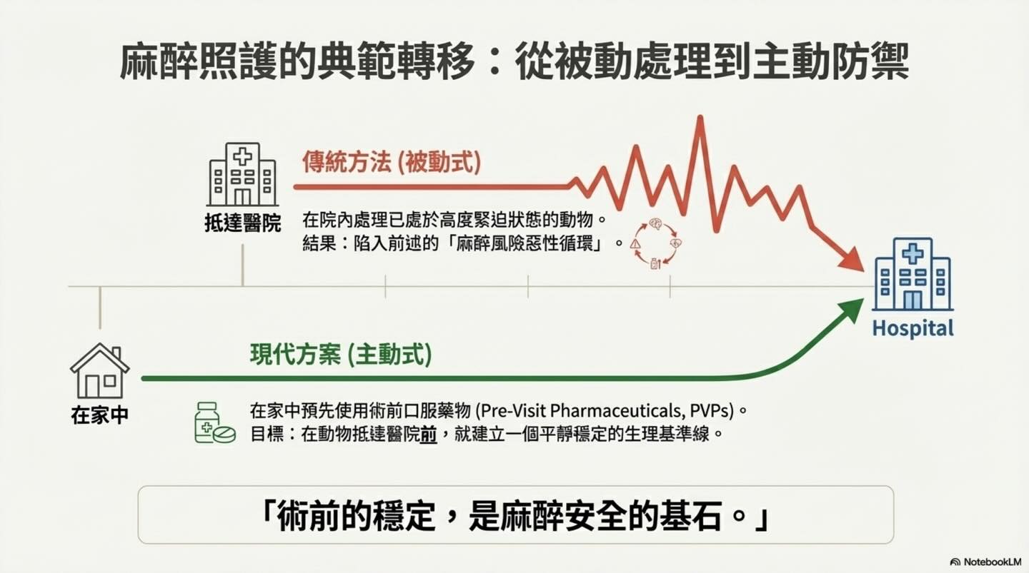 麻醉安全再升級：術前口服藥物為何是關鍵？圖卡 4