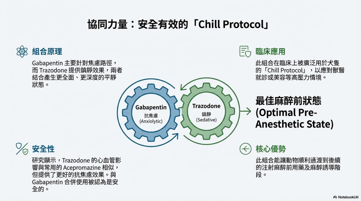 麻醉安全再升級：術前口服藥物為何是關鍵？圖卡 7