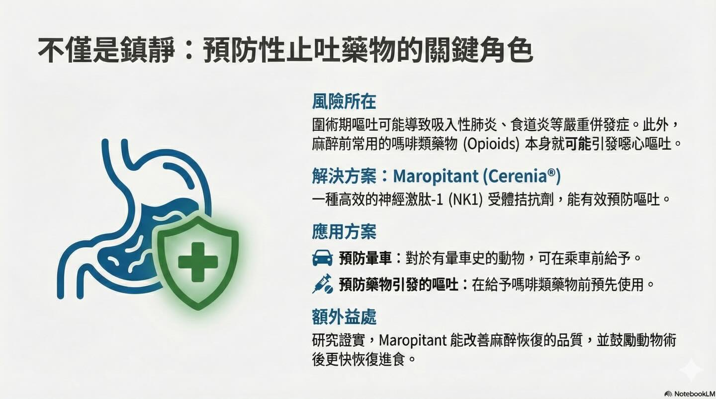 麻醉安全再升級：術前口服藥物為何是關鍵？圖卡 8