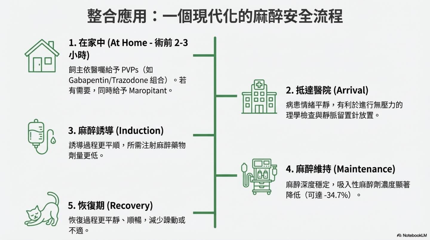 麻醉安全再升級：術前口服藥物為何是關鍵？圖卡 11