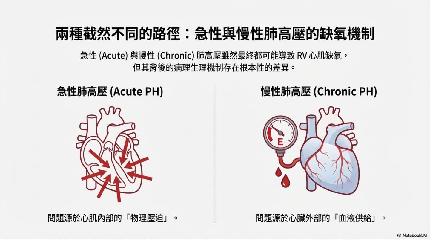 肺高壓的致命螺旋：右心室冠狀動脈灌流與心肌缺氧圖卡 4