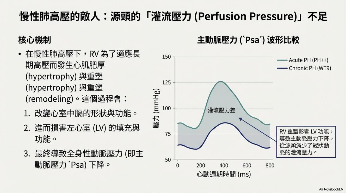 肺高壓的致命螺旋：右心室冠狀動脈灌流與心肌缺氧圖卡 7