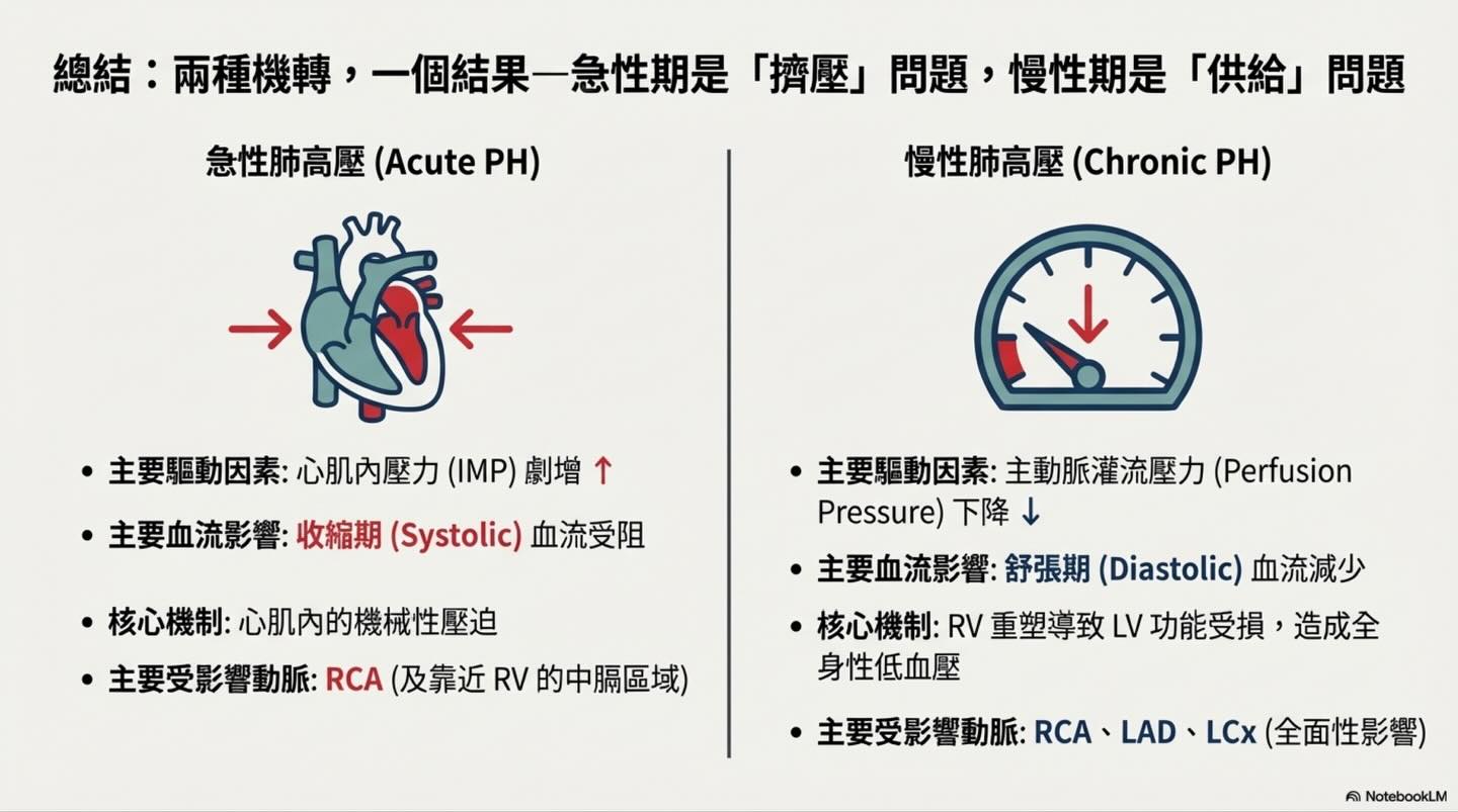 肺高壓的致命螺旋：右心室冠狀動脈灌流與心肌缺氧圖卡 8