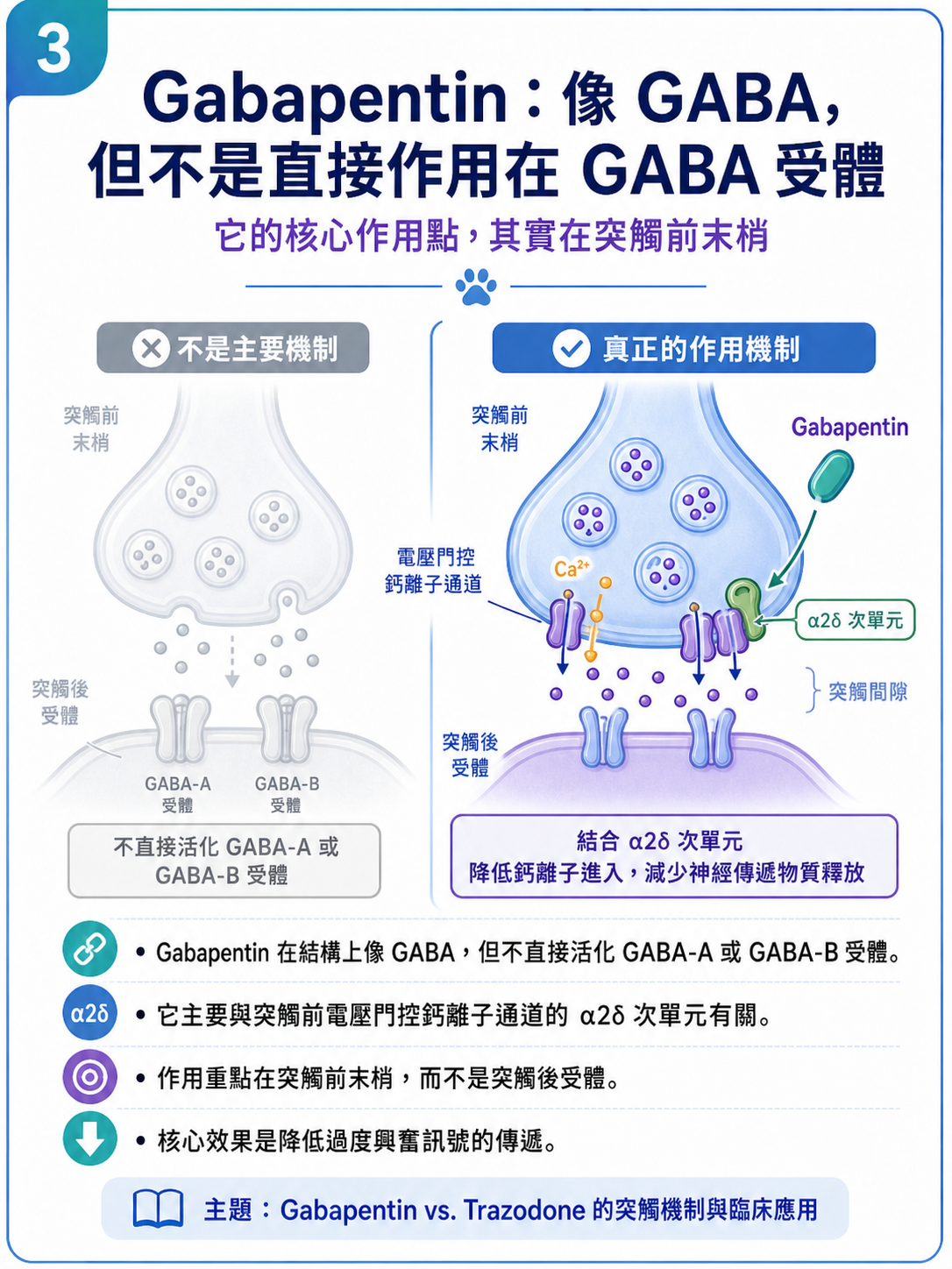 PVPs 圖卡 3：Gabapentin 像 GABA，但不是直接作用在 GABA 受體