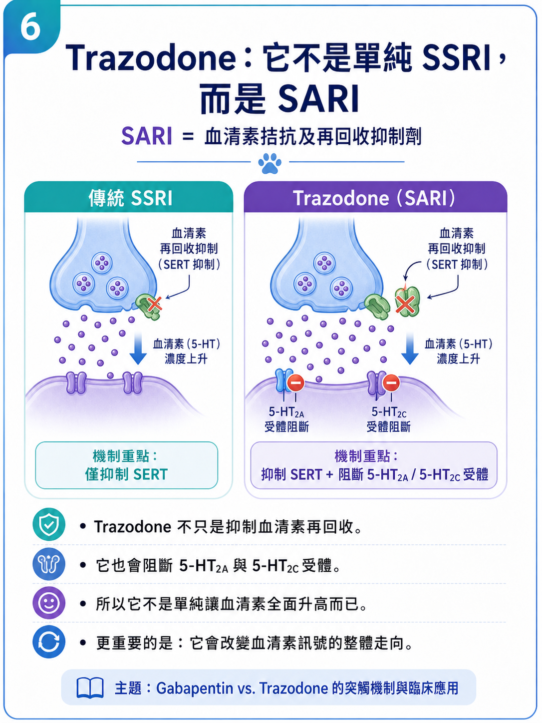 PVPs 圖卡 6：Trazodone 不是單純 SSRI，而是 SARI