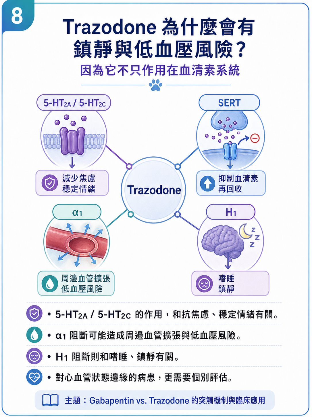 PVPs 圖卡 8：Trazodone 為什麼會有鎮靜與低血壓風險？