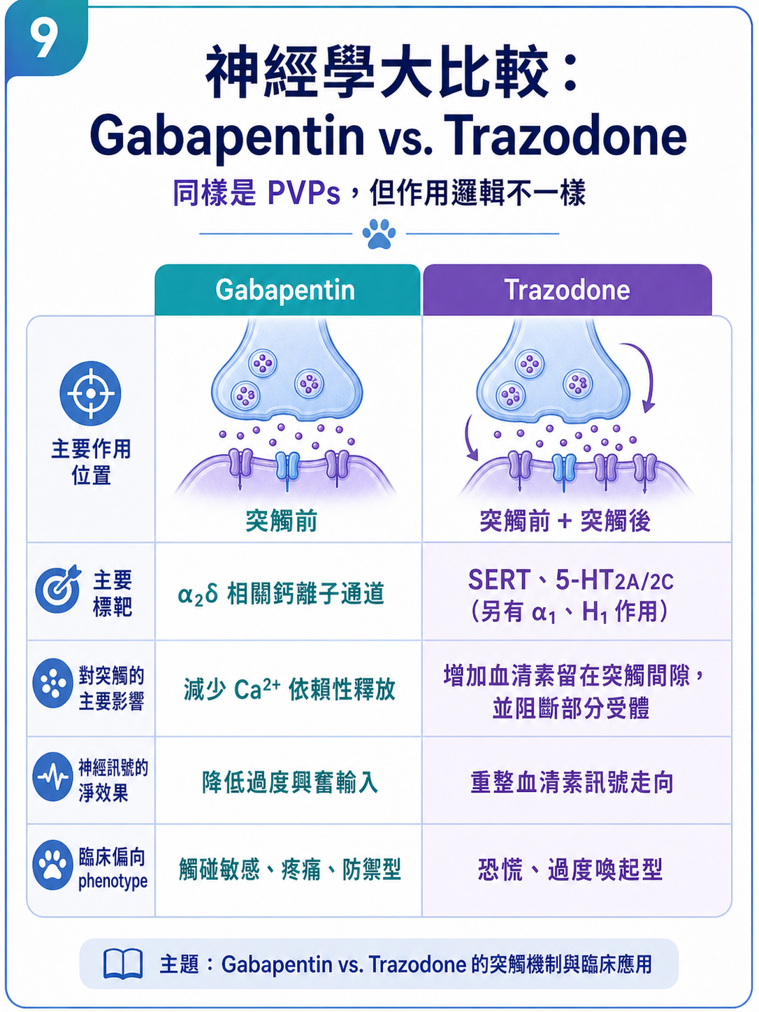 PVPs 圖卡 9：神經學大比較，Gabapentin 與 Trazodone