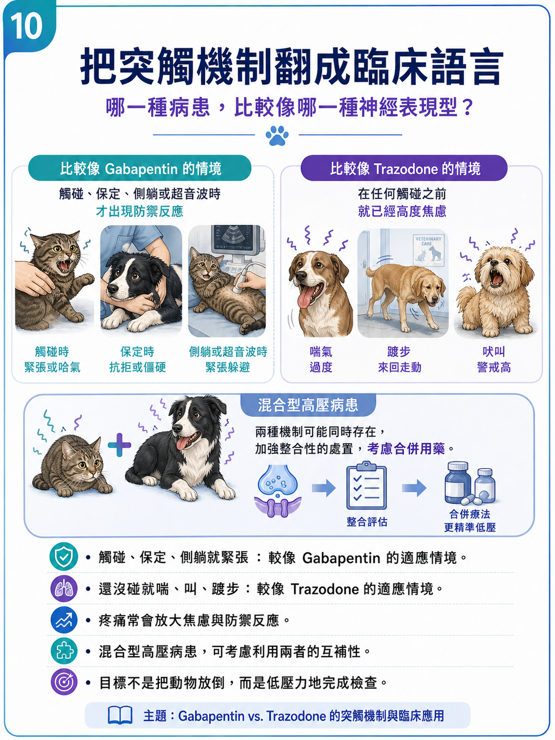 PVPs 圖卡 10：把突觸機制翻成臨床語言
