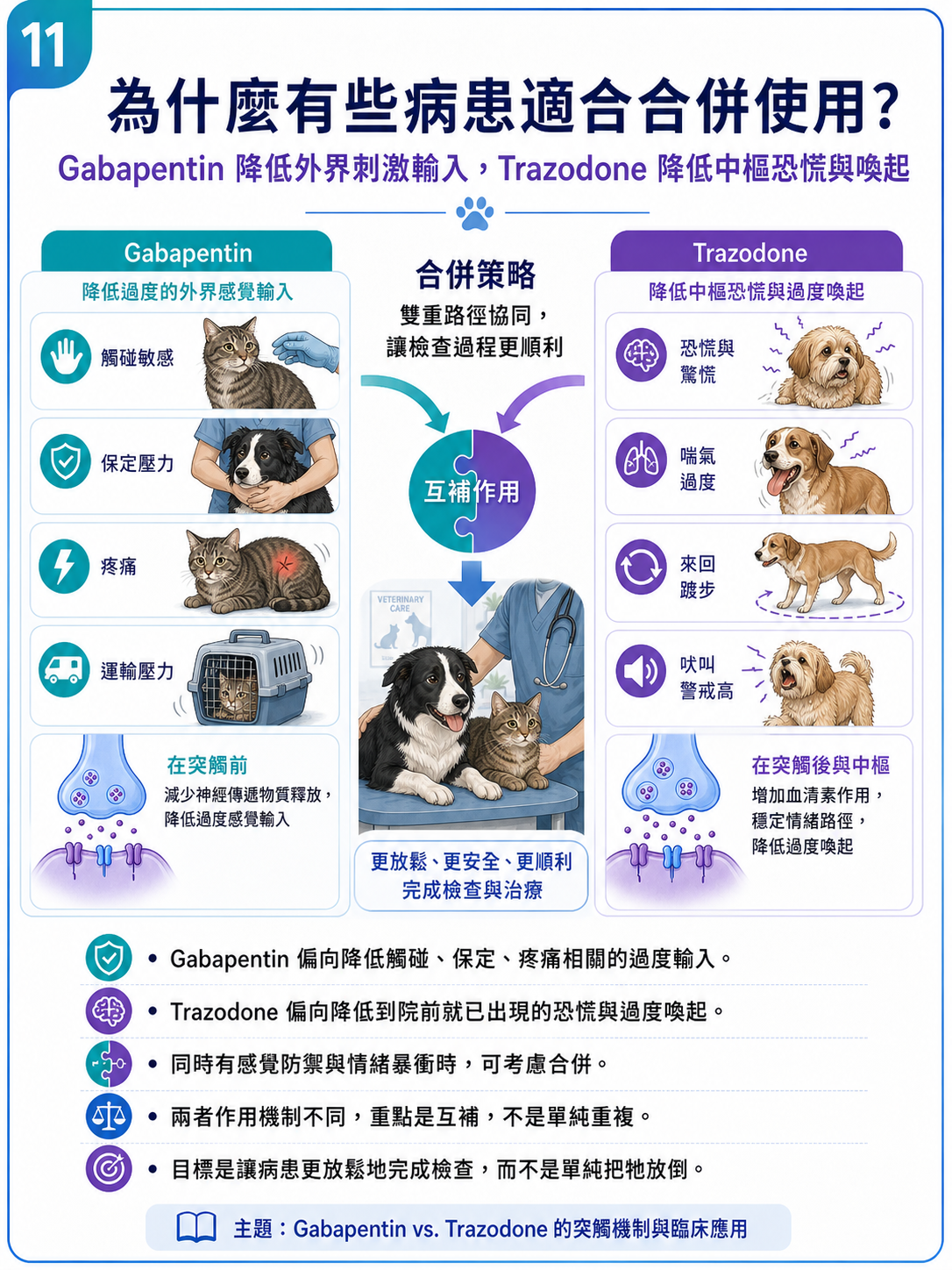 PVPs 圖卡 11：為什麼有些病患適合合併使用？