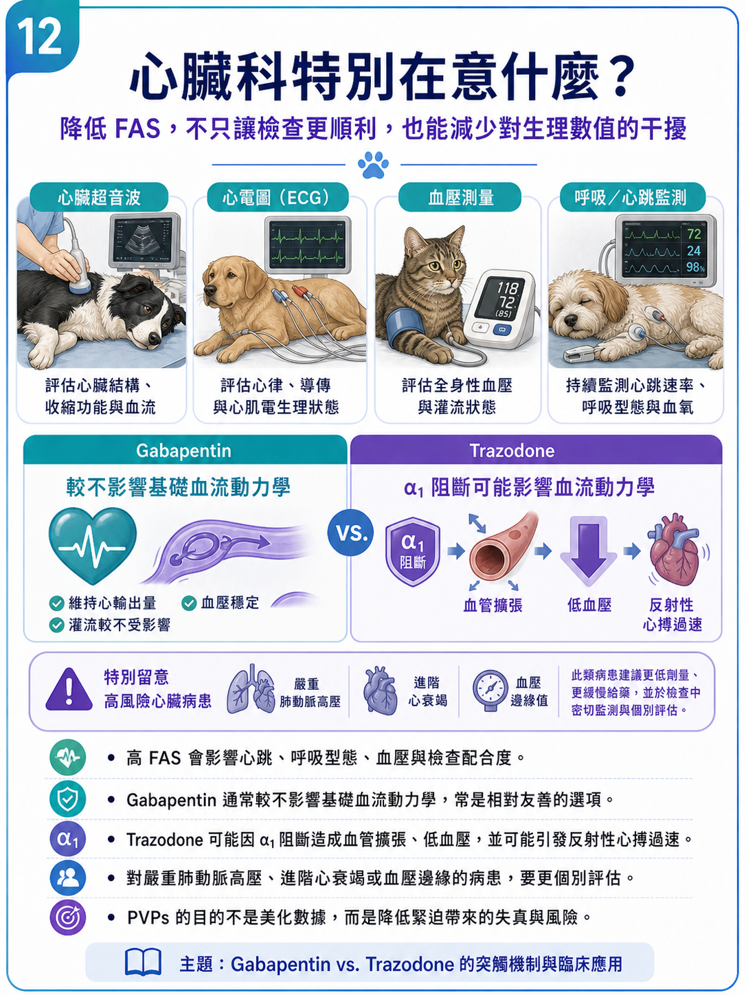 PVPs 圖卡 12：心臟科特別在意什麼？