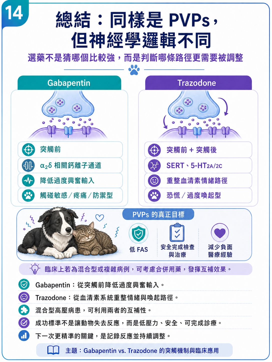 PVPs 圖卡 14：同樣是 PVPs，但神經學邏輯不同