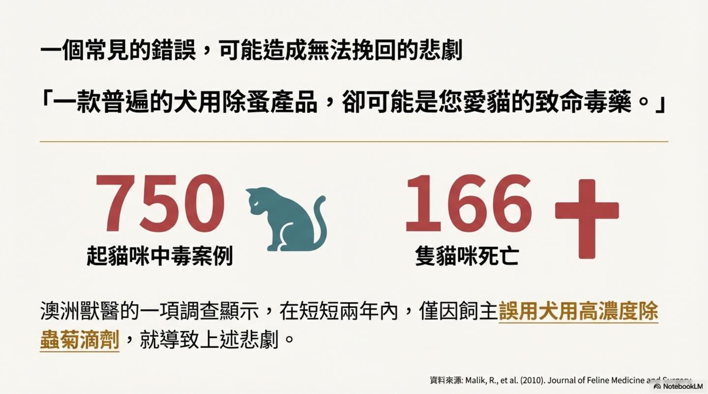 潛伏家中的隱形殺手：除蟲菊對貓的致命毒性圖卡 2