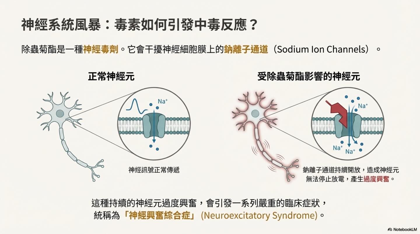 潛伏家中的隱形殺手：除蟲菊對貓的致命毒性圖卡 5