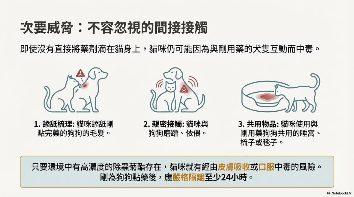 潛伏家中的隱形殺手：除蟲菊對貓的致命毒性圖卡 7