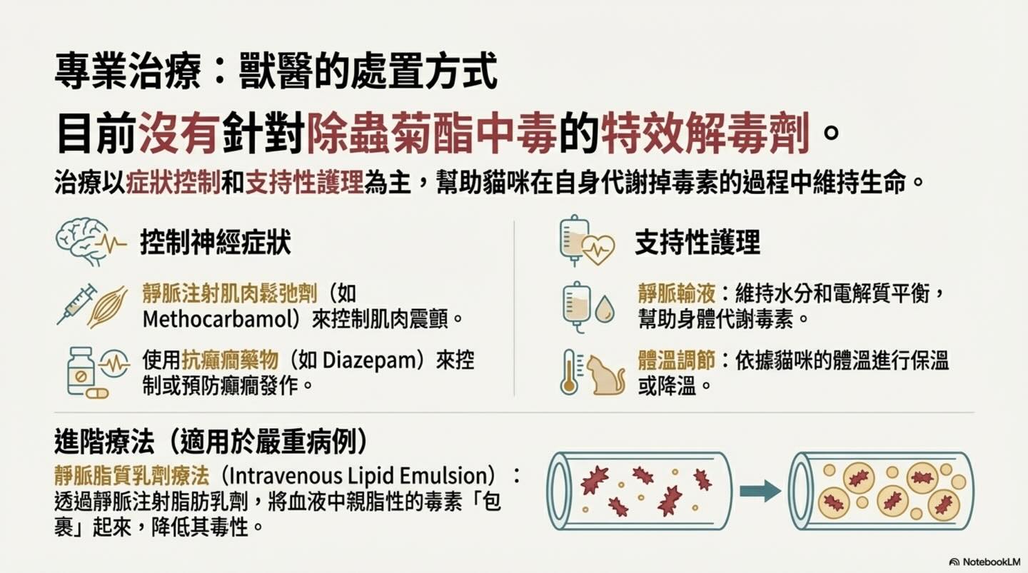潛伏家中的隱形殺手：除蟲菊對貓的致命毒性圖卡 11