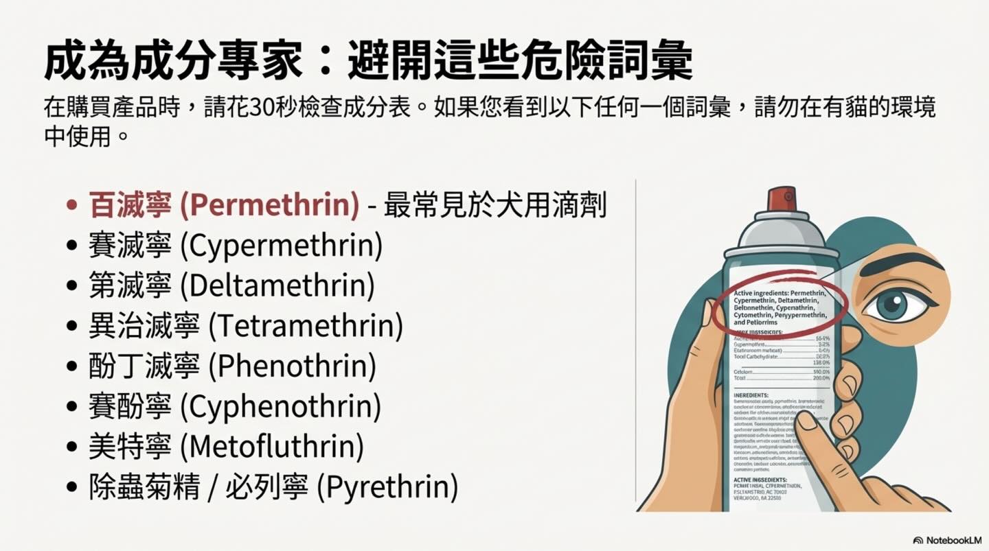 潛伏家中的隱形殺手：除蟲菊對貓的致命毒性圖卡 13