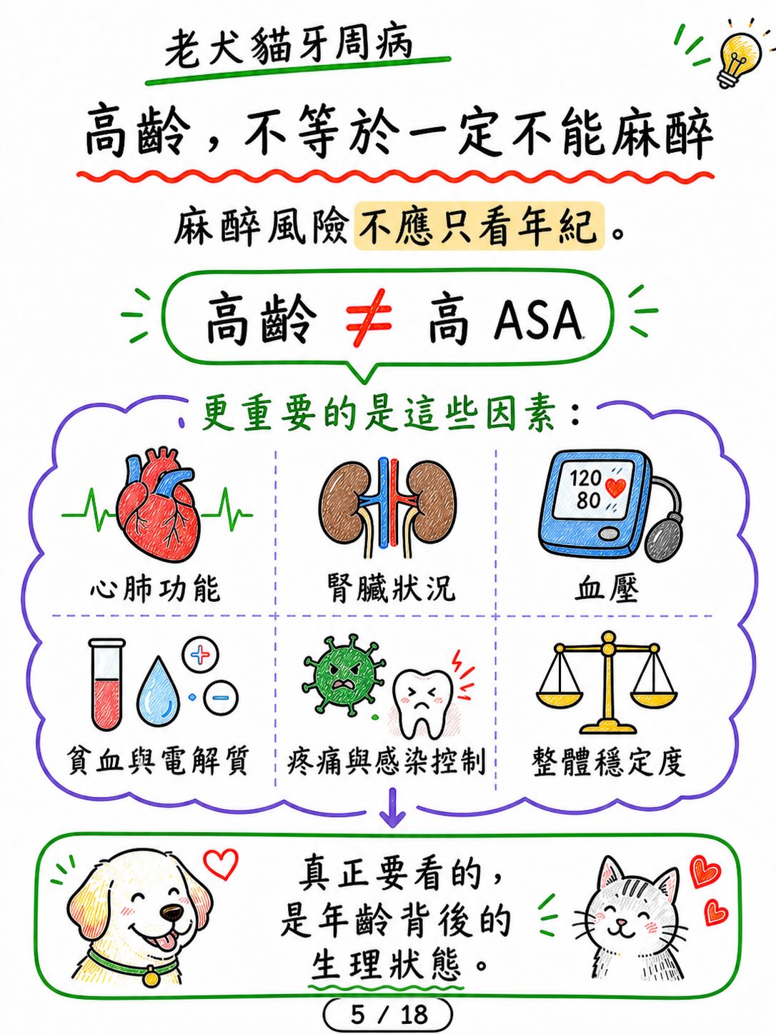 老犬貓牙周病，怕麻醉怎麼辦？圖卡 5
