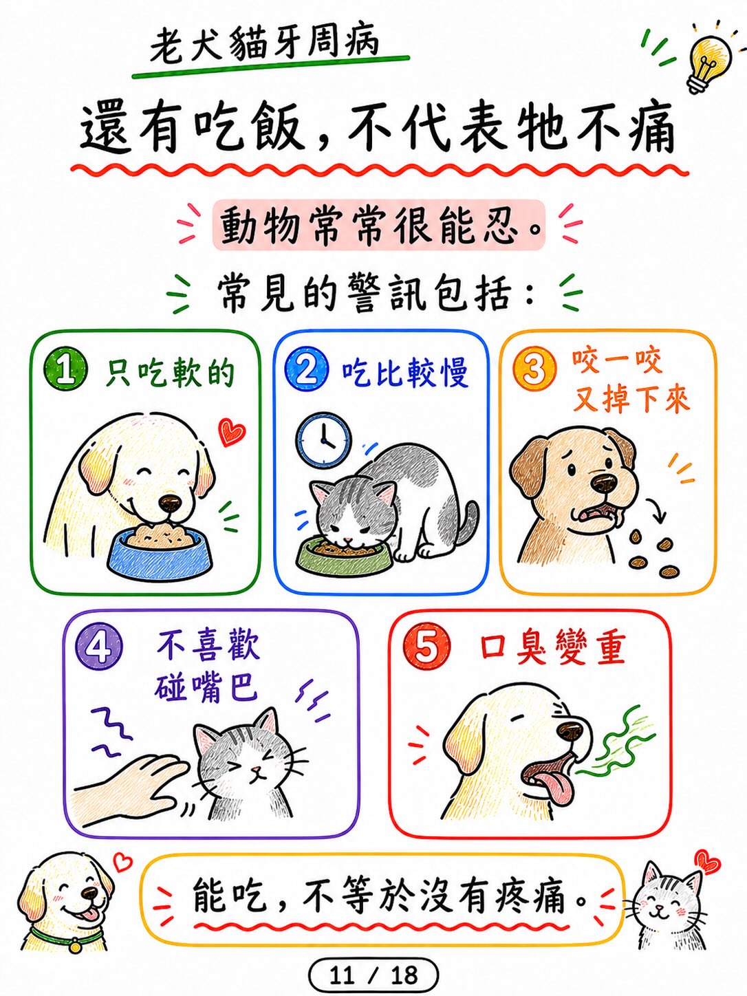 老犬貓牙周病，怕麻醉怎麼辦？圖卡 11