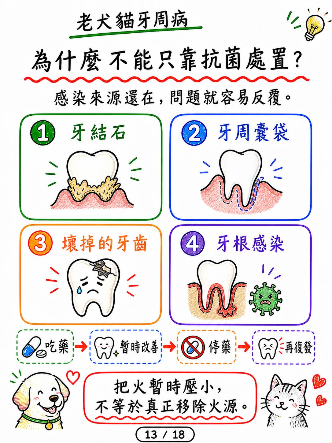 老犬貓牙周病，怕麻醉怎麼辦？圖卡 13