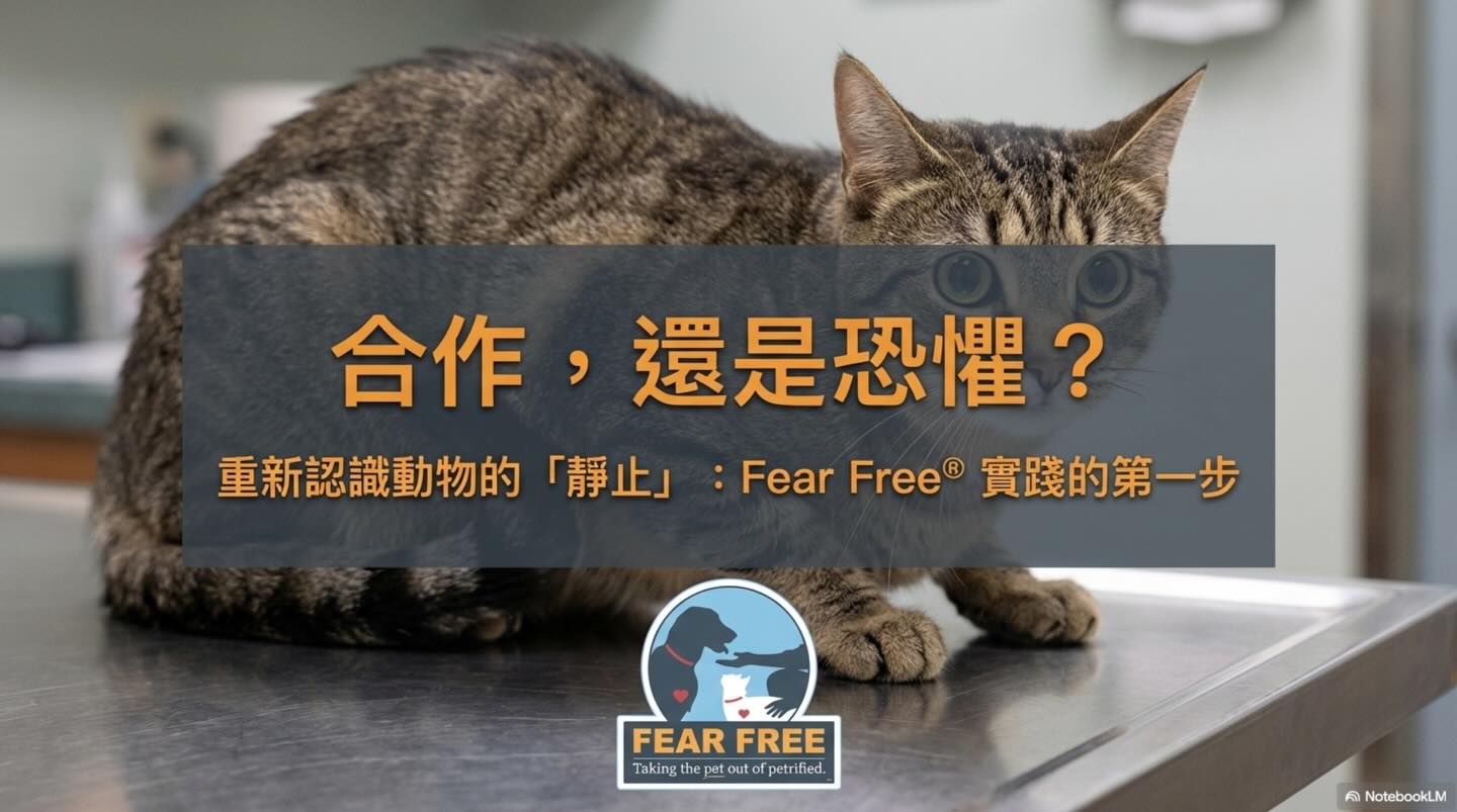 橫式圖卡集合封面：合作，還是恐懼？重新認識動物的「靜止」與 Fear Free