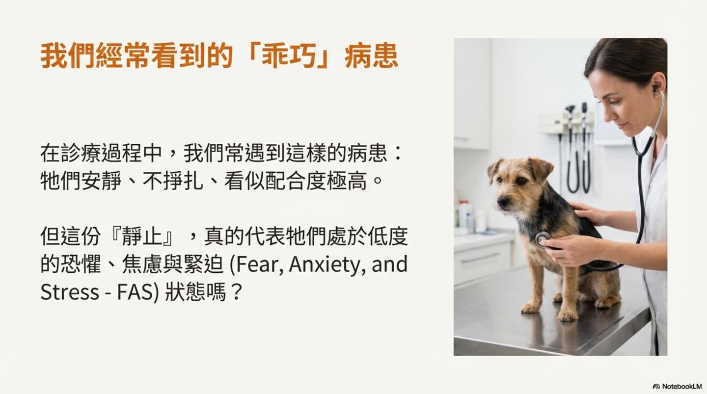 合作，還是恐懼？重新認識動物的「靜止」與 Fear Free圖卡 2