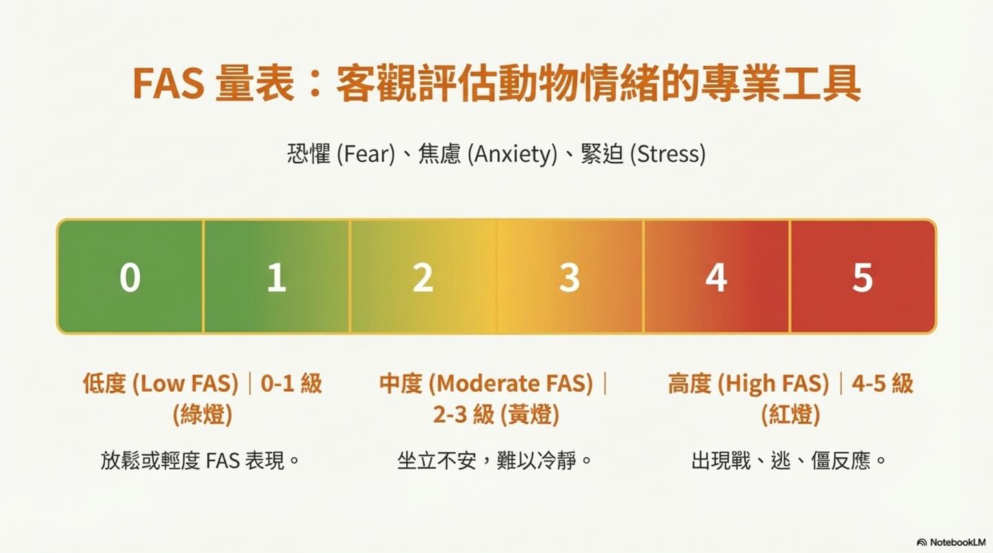 合作，還是恐懼？重新認識動物的「靜止」與 Fear Free圖卡 3
