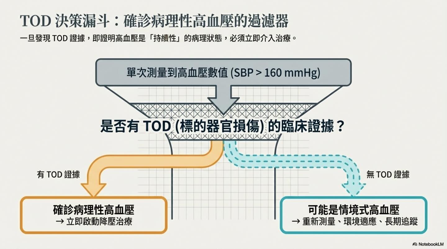 高血壓的臨床解謎：從測量原理到標的器官損傷（TOD）圖卡 12
