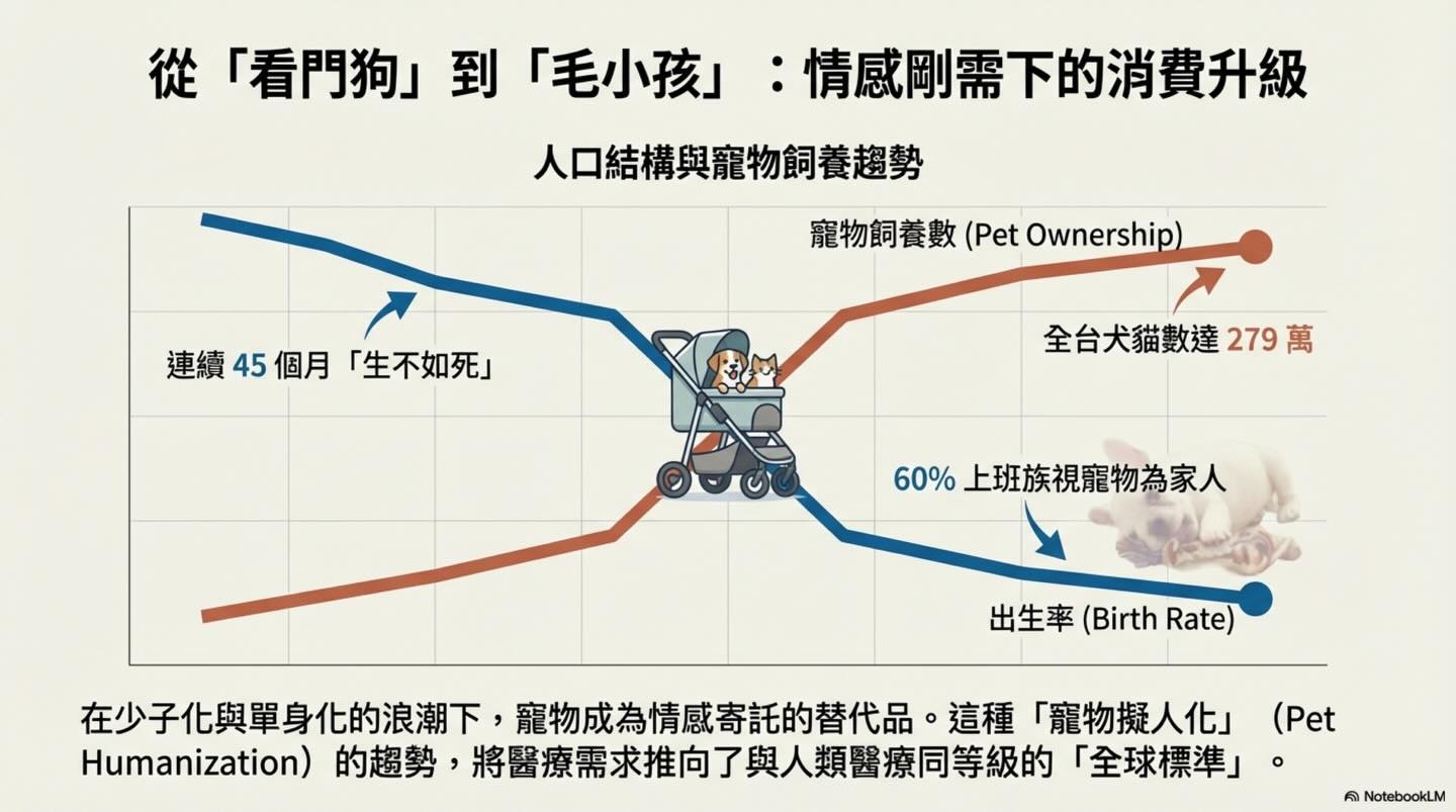 台灣寵物醫療「國際化通膨」與新台幣購買力圖卡 2