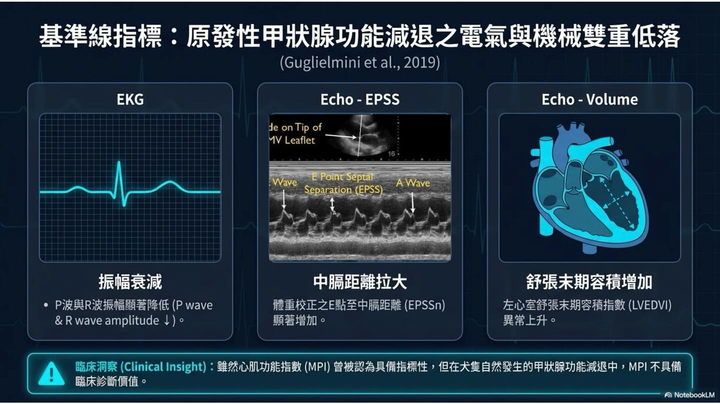 甲狀腺疾病之於心血管系統的雙面效應圖卡 4