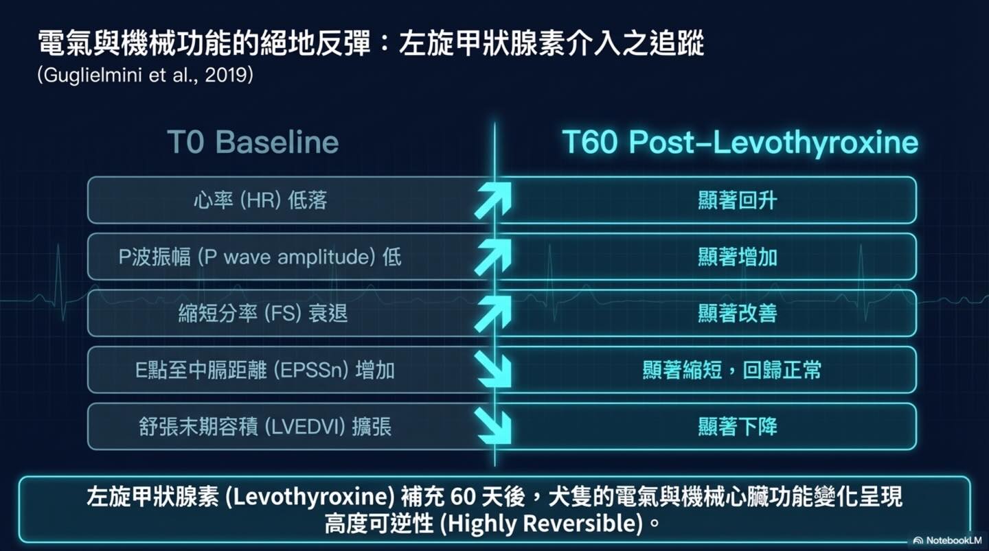 甲狀腺疾病之於心血管系統的雙面效應圖卡 5