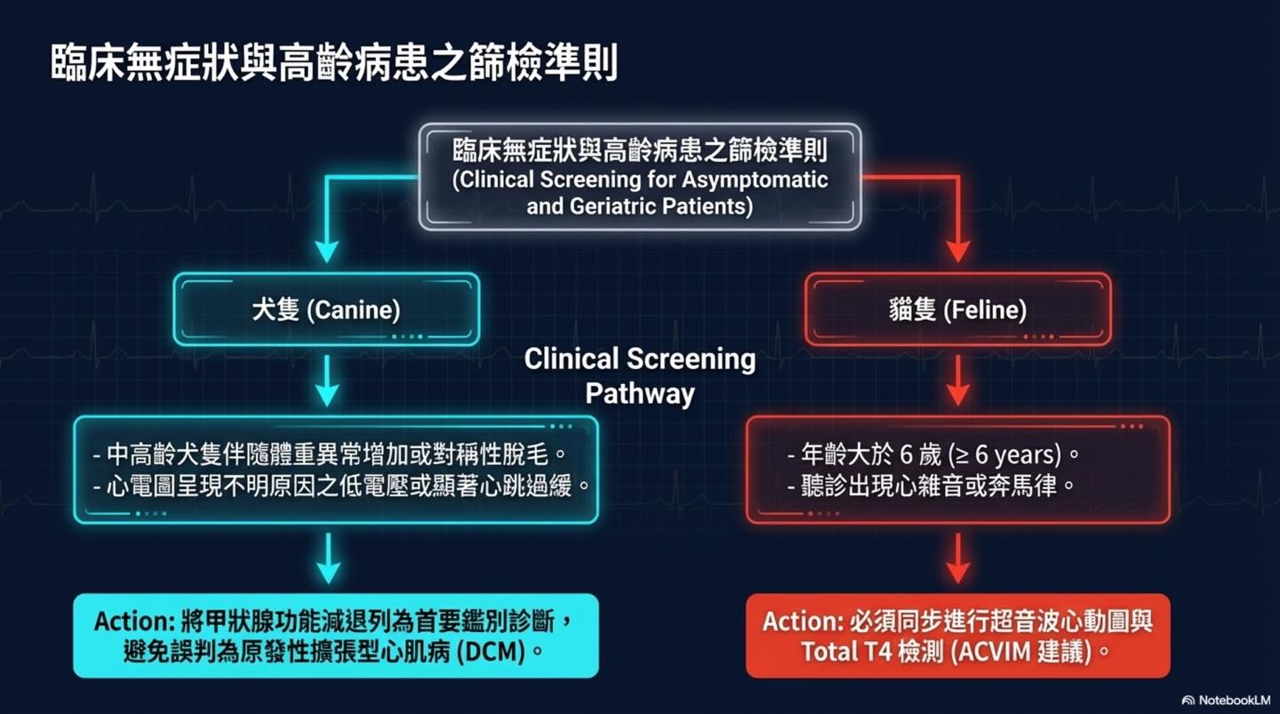 甲狀腺疾病之於心血管系統的雙面效應圖卡 11