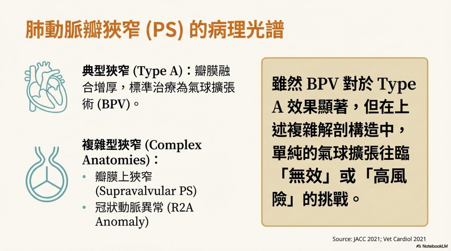 TPSA｜肺動脈瓣支架置放術圖卡 2：肺動脈瓣狹窄（PS）的病理光譜