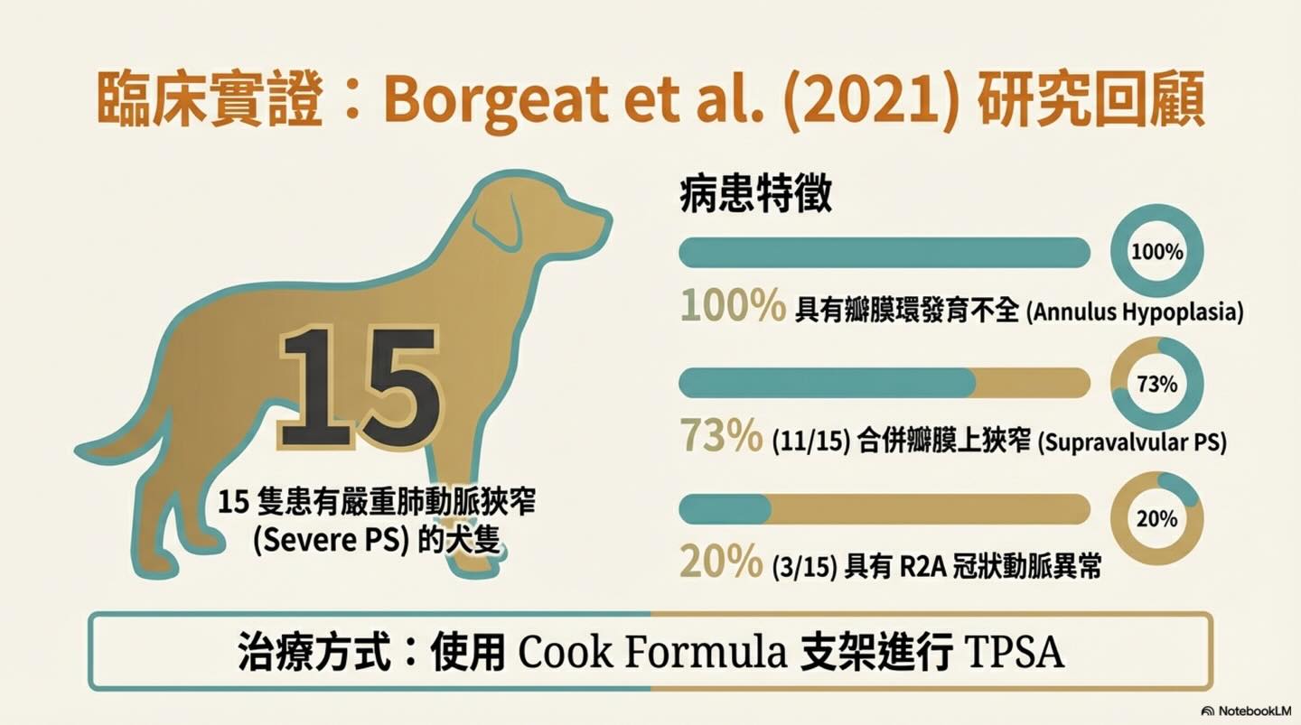 TPSA｜肺動脈瓣支架置放術圖卡 7：臨床實證：Borgeat et al. (2021) 研究回顧