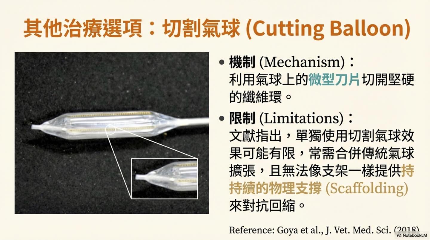 TPSA｜肺動脈瓣支架置放術圖卡 11：其他治療選項：切割氣球（Cutting Balloon）