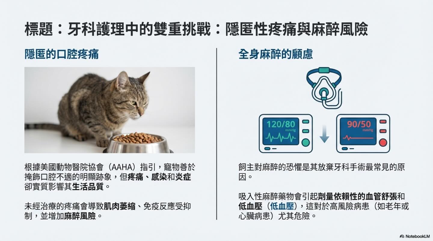 提升護理標準：獸醫牙科局部麻醉的實踐與安全圖卡 2
