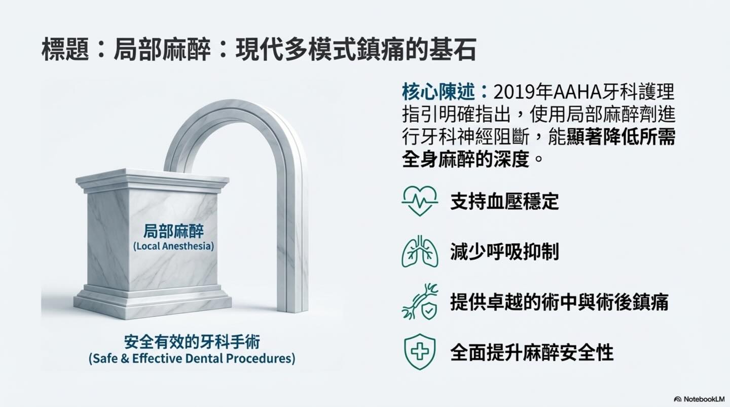 提升護理標準：獸醫牙科局部麻醉的實踐與安全圖卡 3