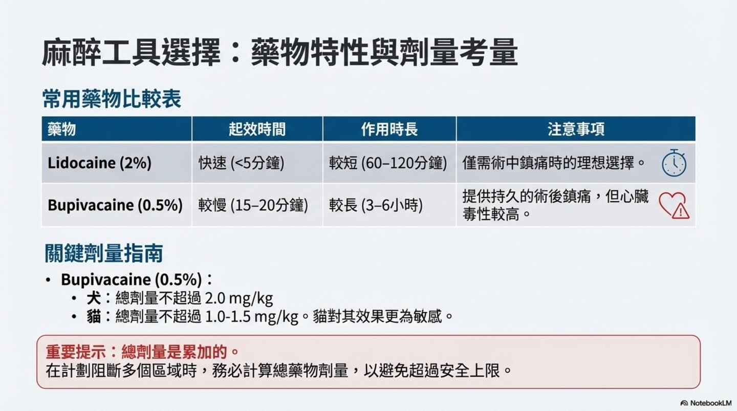 提升護理標準：獸醫牙科局部麻醉的實踐與安全圖卡 6