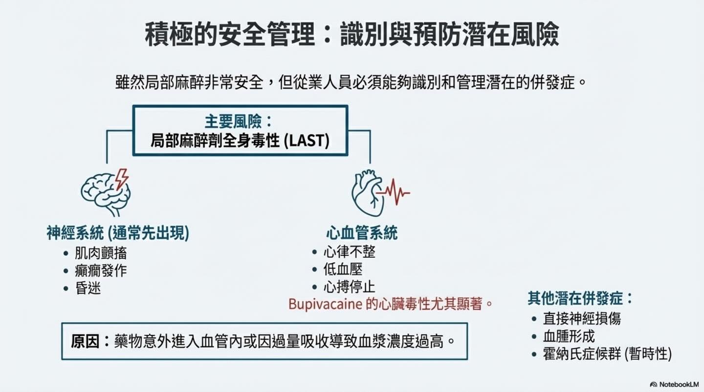 提升護理標準：獸醫牙科局部麻醉的實踐與安全圖卡 9