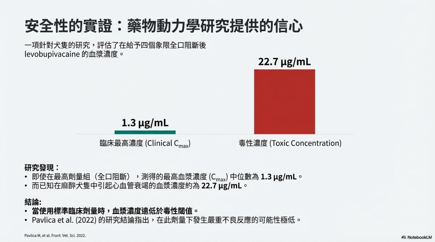 提升護理標準：獸醫牙科局部麻醉的實踐與安全圖卡 10